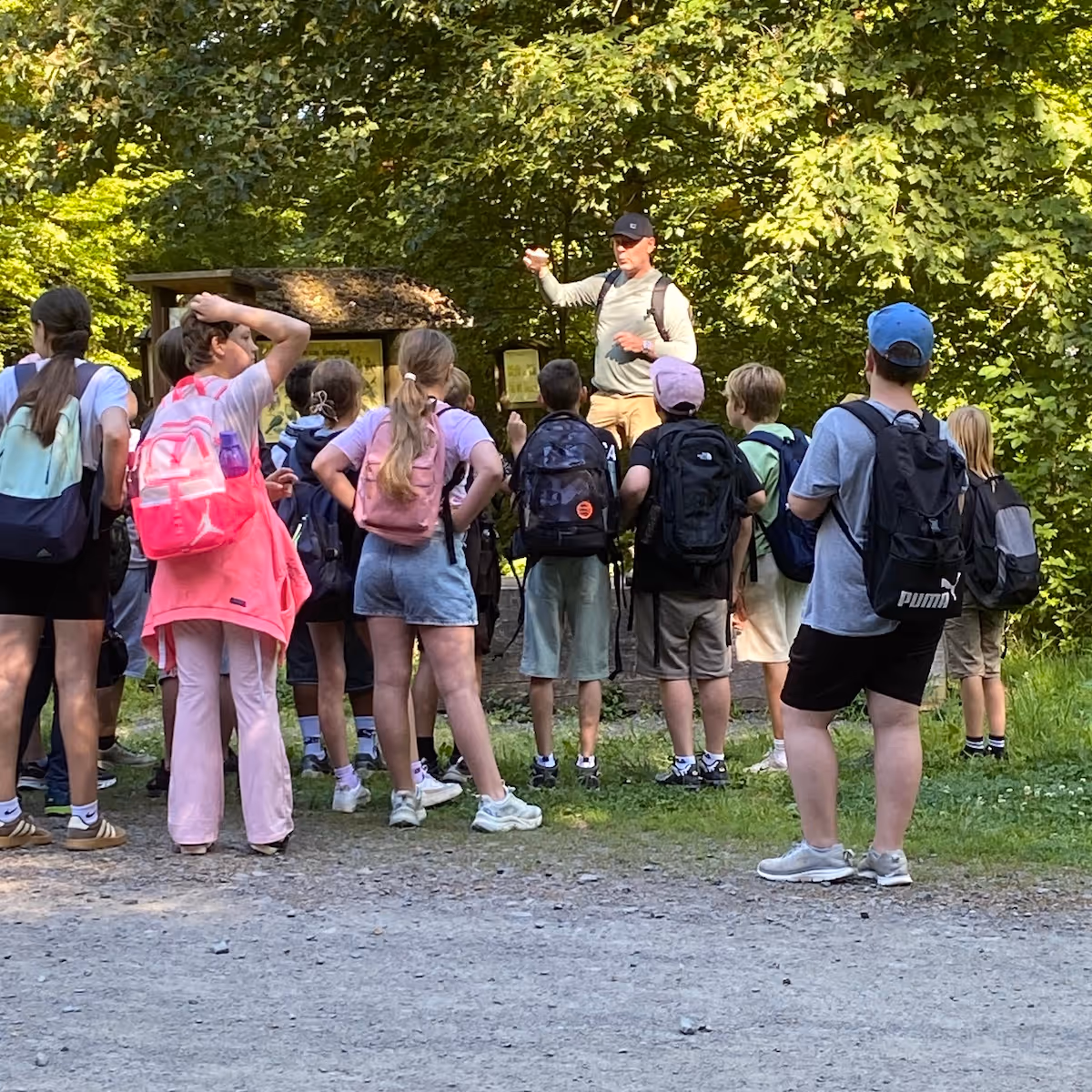 Eine Gruppe von Kindern hört einem Führer im Wald bei sonnigem Wetter aufmerksam zu.