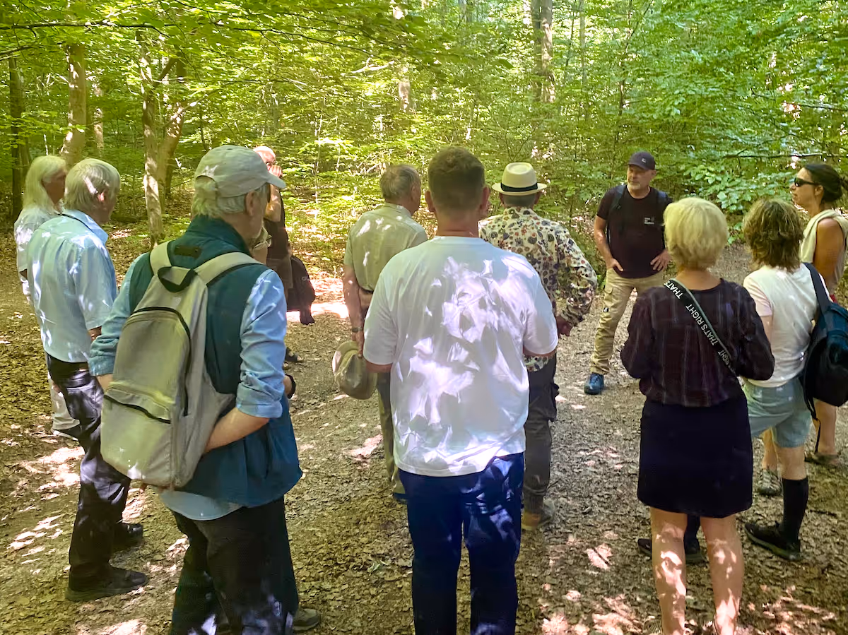 Gruppe von Personen steht im Wald auf einem schattigen Wanderweg und hört einem Mann zu.